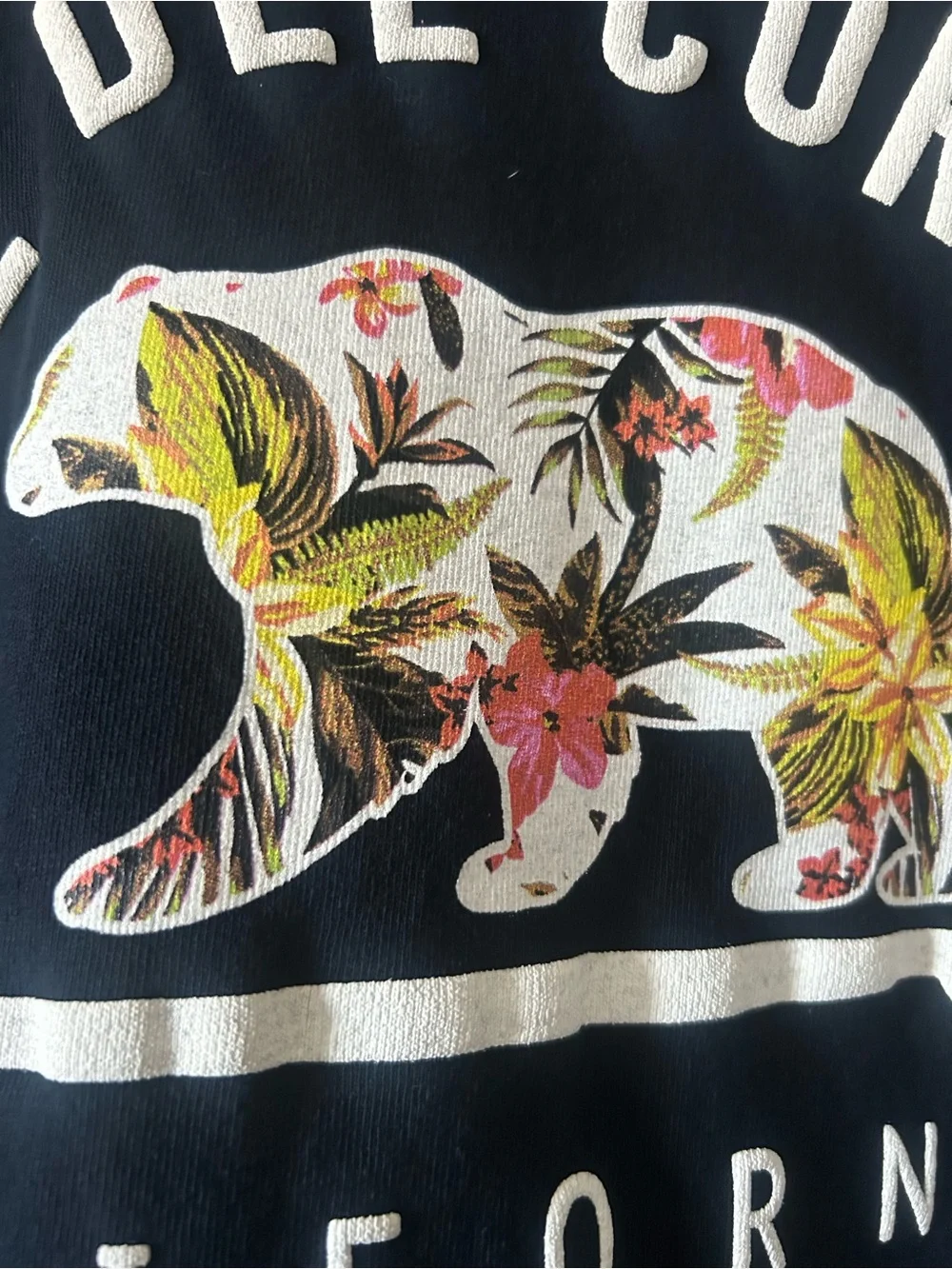 Hotel Del Coronado California Bear Spirit Jersey